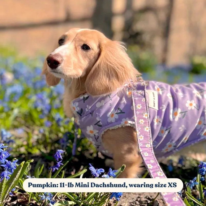 Purple Daisy Reversible Cozy Fleece Vest™