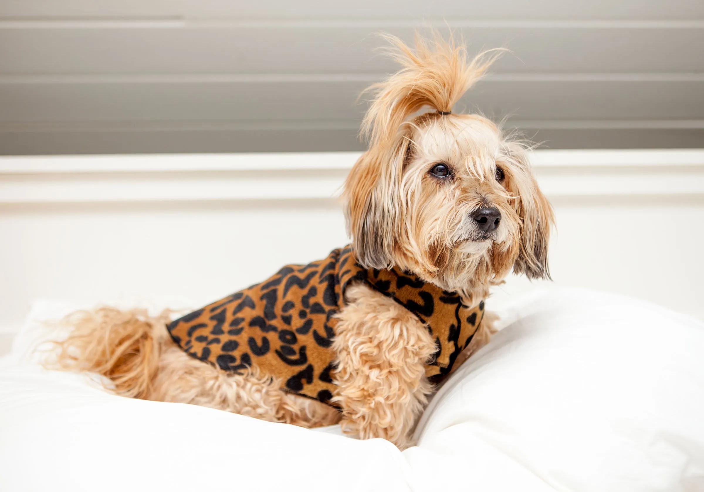 Stretch Fleece Pullover in Leopard Print