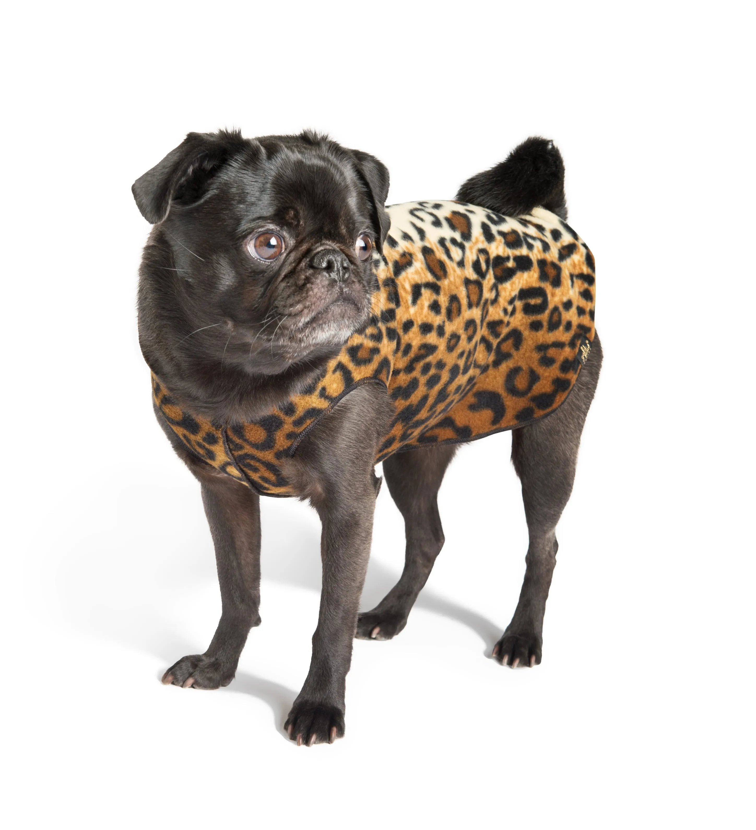 Stretch Fleece Pullover in Leopard Print